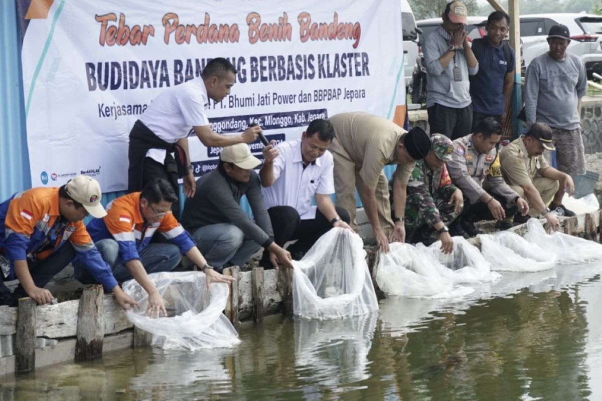 BBPBAP Jepara gandeng swasta bantu  peternak ikan bandeng