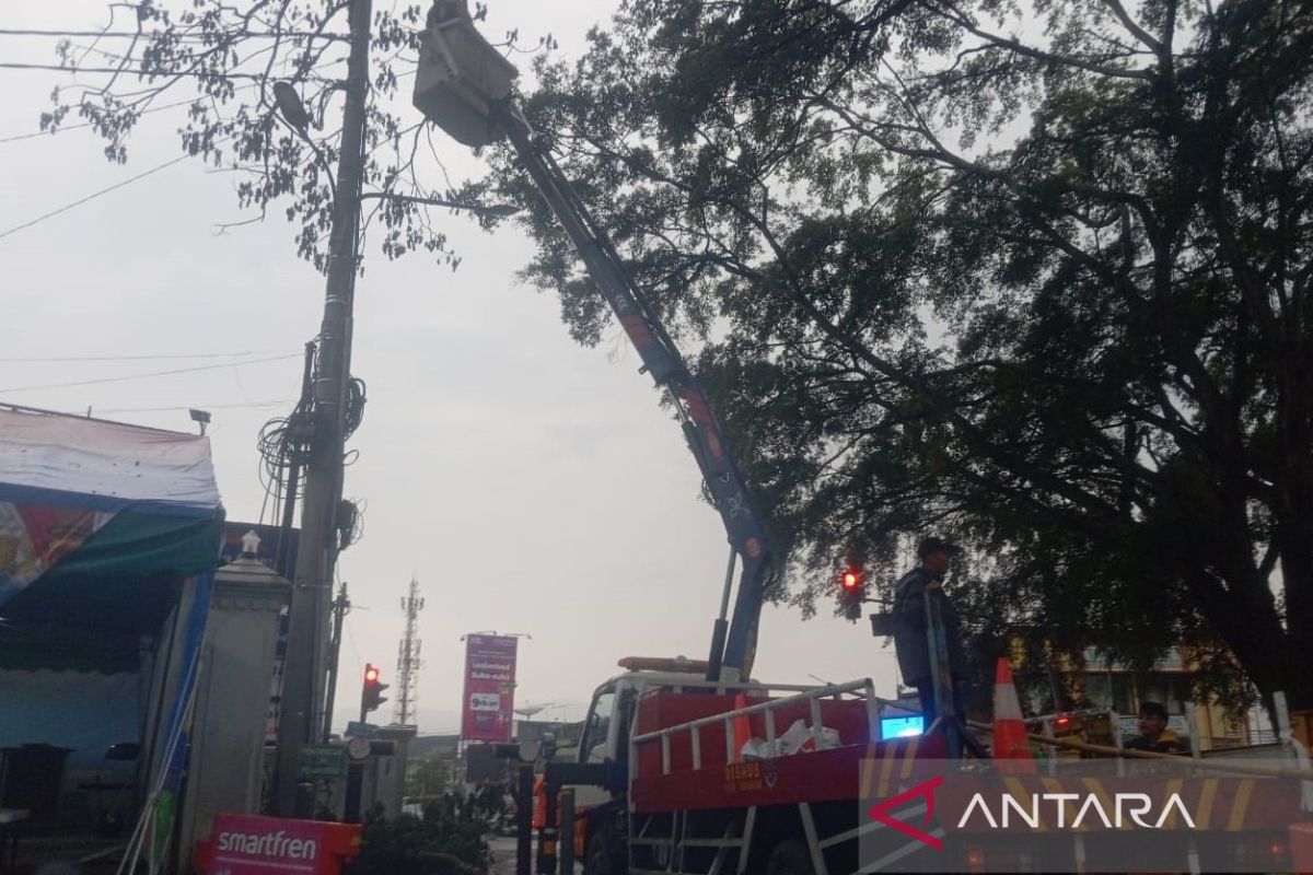 Angin kencang sebabkan dahan pohon patah dan timpa sejumlah kendaraan di Kota Sukabumi