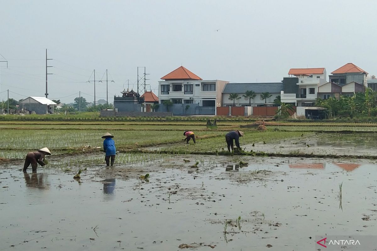 Menyokong hulu hilir pertanian di Bali