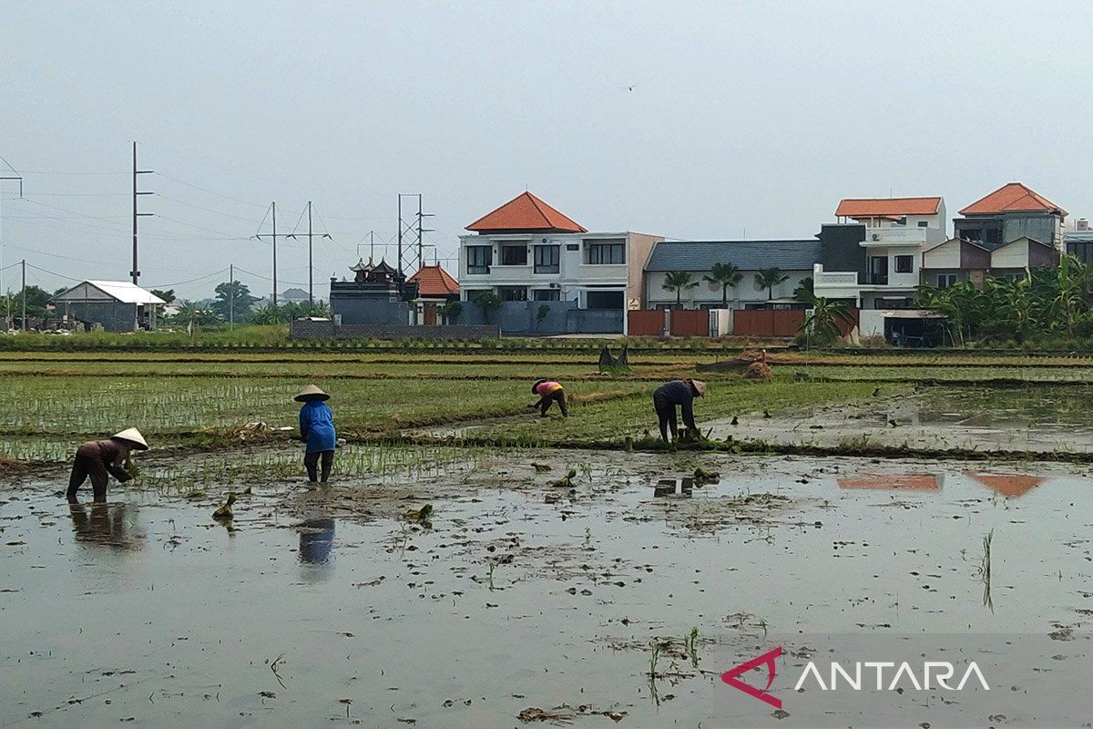 Menyokong hulu hilir sektor pertanian di Bali