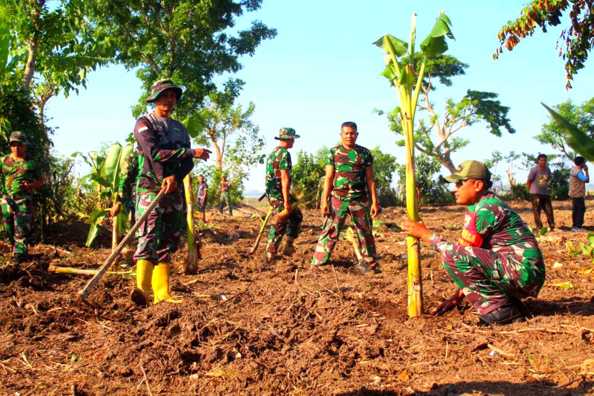 Kolaborasi TNI-Polri dan masyarakat wujudkan ketahanan pangan di NTB