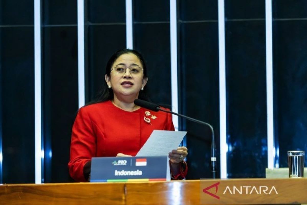 Ketua DPR RI Puan Maharani minta seluruh pihak pastikan Pilkada 2024 berjalan lancar