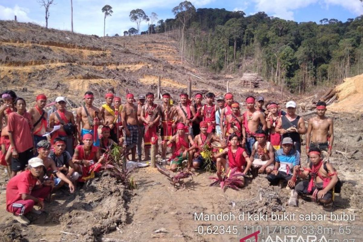 Transisi energi tanpa mengorbankan hutan Kalimantan