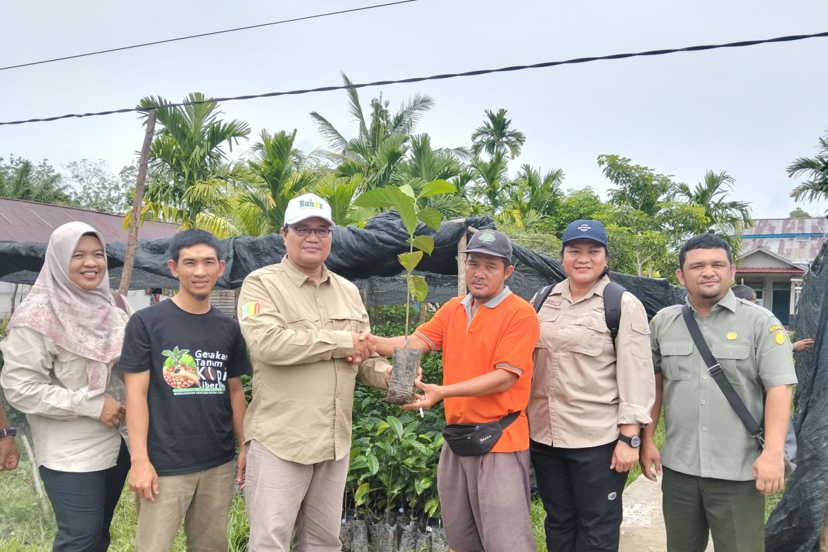 BPTP Pontianak serahkan 100 ribu bibit liberika ke petani Desa Sendoyan