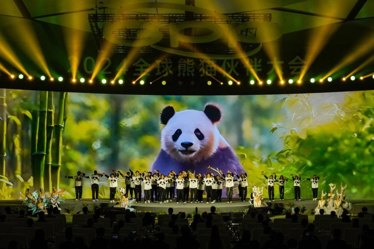 Global Panda Partners upayakan koeksistensi harmonis manusia-alam