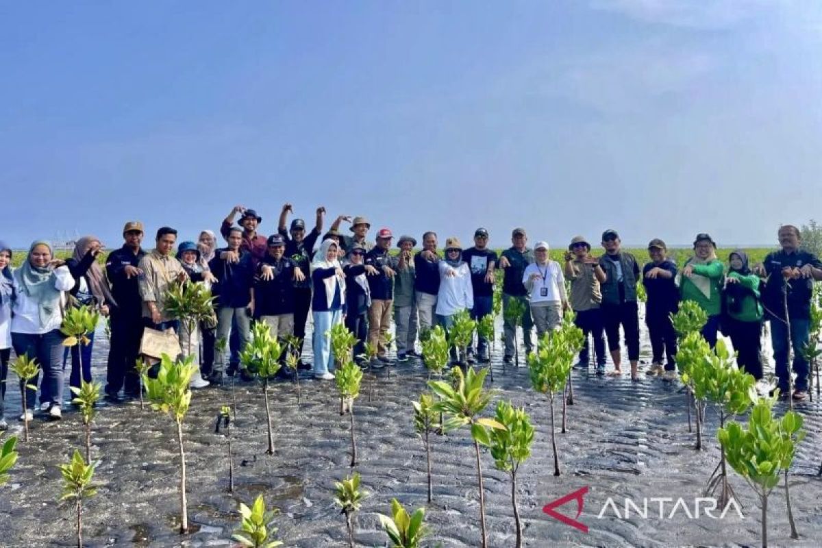 Universitas Lambung Mangkurat  gandeng Freeport restorasi mangrove