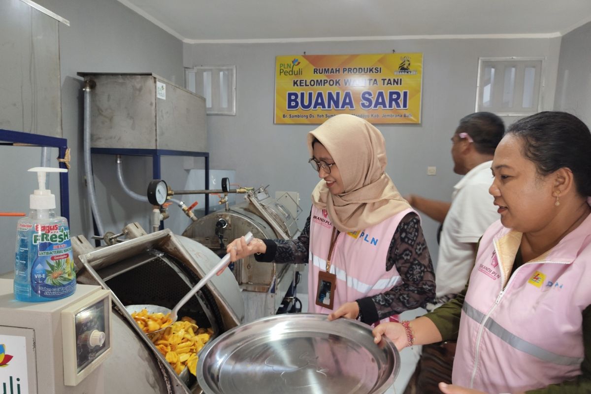 PLN bantu alat pendukung usaha untuk kelompok tani wanita di Jembrana