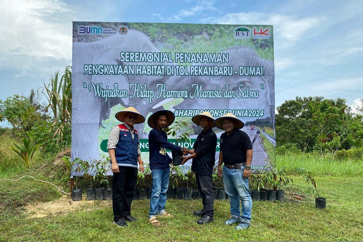 Keberlanjutan program konservasi gajah Sumatera, Hutama Karya siapkan 7000 bibit pohon pakan alami