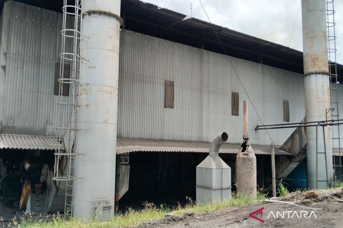 Upaya mengolah limbah sawit jadi listrik ramah lingkungan