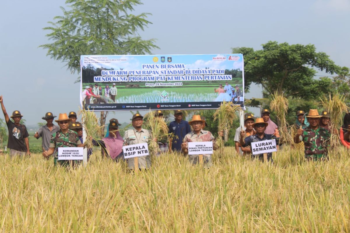 TNI dukung perluasan area tanam di kawasan Lombok Tengah