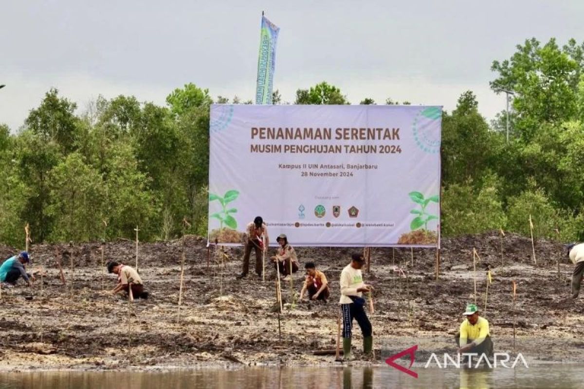 Kalsel angkat konsep kampus hijau saat penanaman serentak se-Indonesia