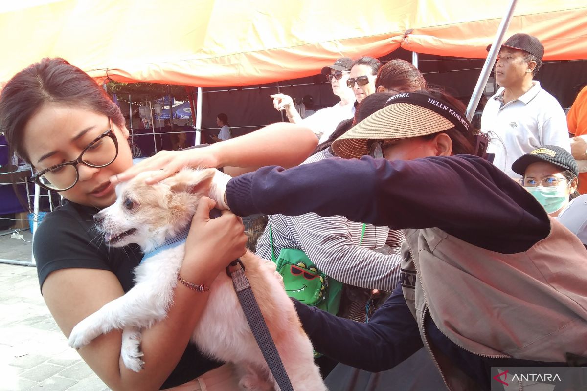 Persatuan Dokter Hewan Indonesia Provinsi Bali sediakan 3.000 dosis vaksin rabies