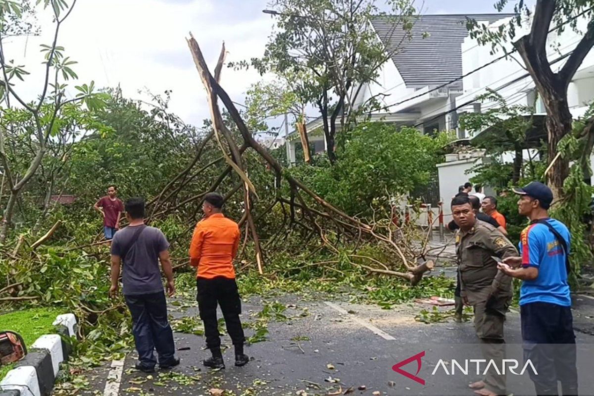 Petugas gabungan tangani pohon tumbang di Surabaya