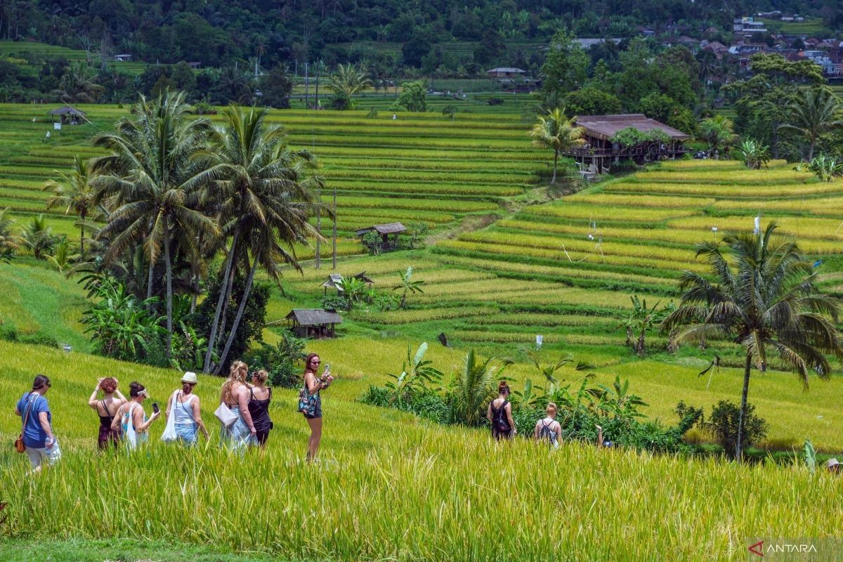 Simak lagi warta soal penanganan pariwisata Bali hingga film Women from Rote Island