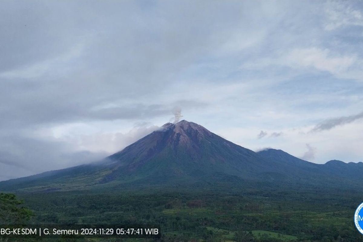 Gunung Semeru di Jatim beberapa kali erupsi dengan tinggi letusan hingga 800 meter