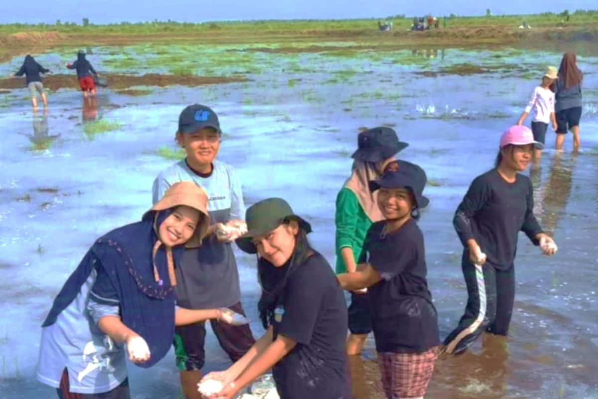 Mahasiswa Unja ikuti program magang pertanian di Kalimantan