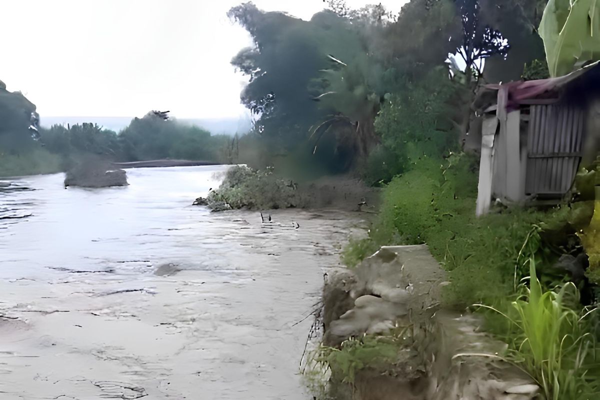 BPBD Sulteng: 207 unit rumah warga terendam banjir di Poso