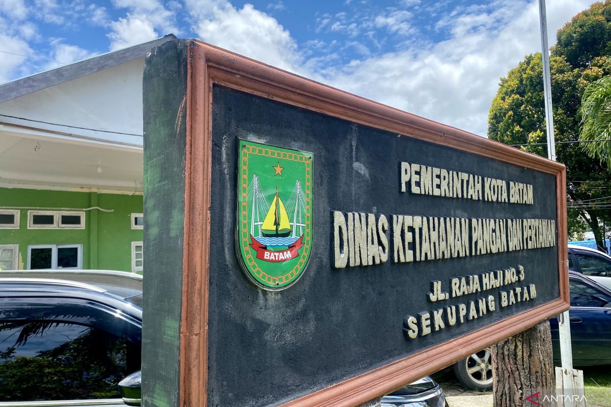 Dinas KP2 Kota Batam siapkan program B2SA ajarkan gizi pada siswa sekolah