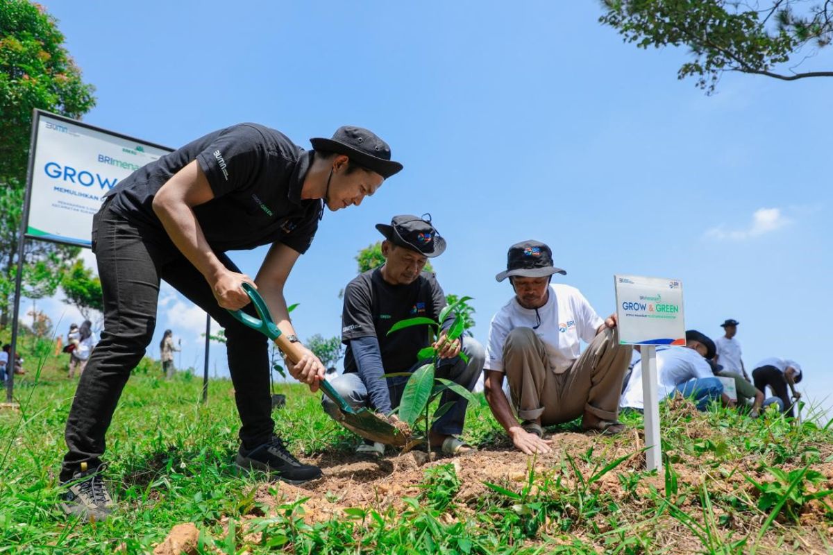 Petani pulihkan hutan bekas tambang di Bogor