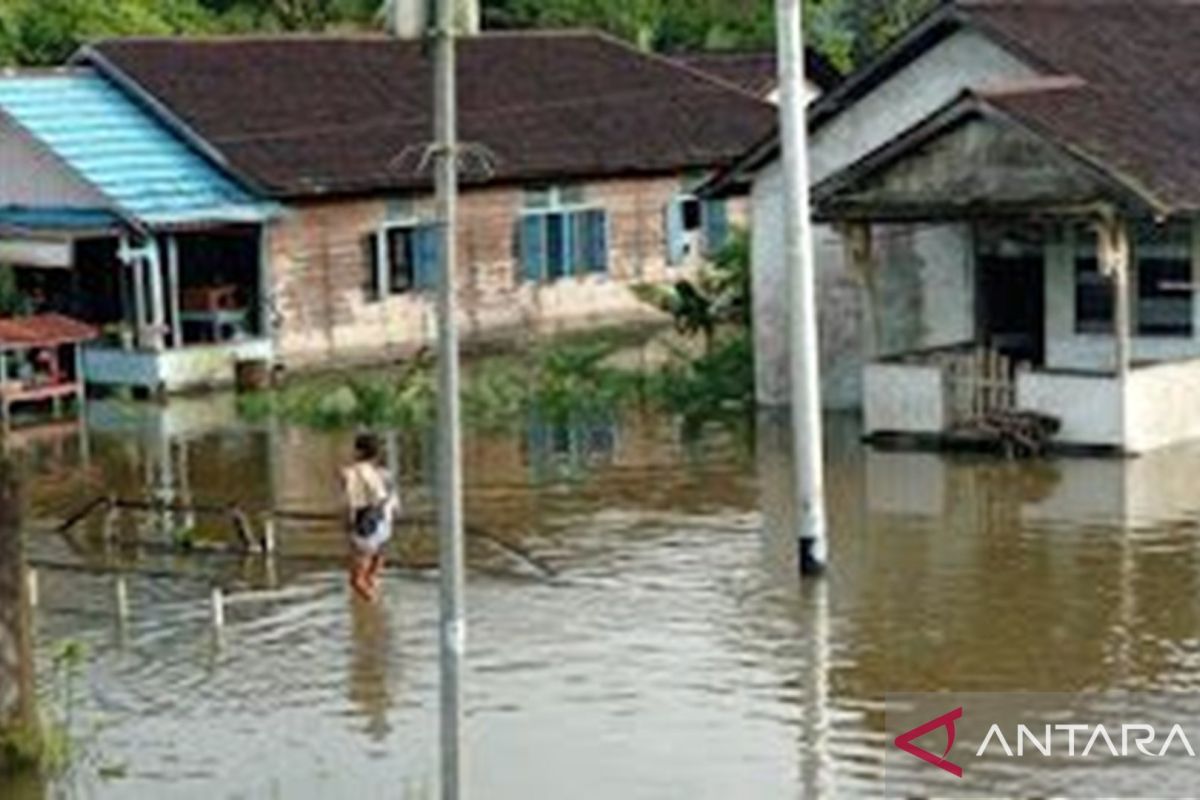 Deforestasi PT MP diduga menjadi pemicu banjir di Ketapang