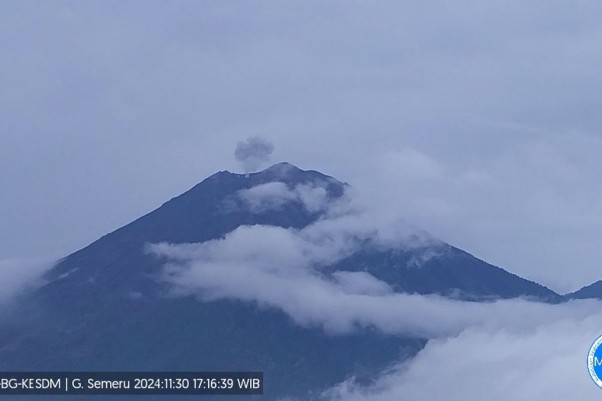 Gunung Semeru erupsi dengan letusan setinggi 500 meter