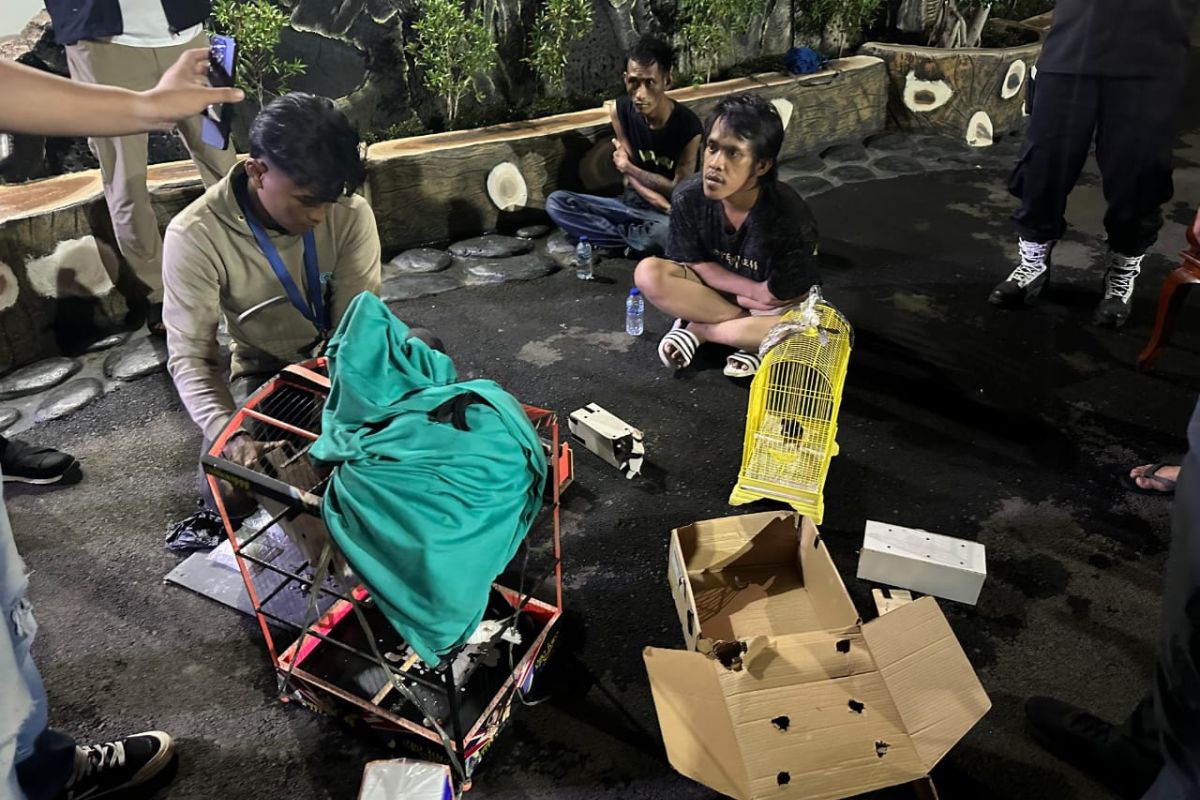 Lapas Pemuda Tangerang ungkap penyelundupan sabu dalam kandang burung