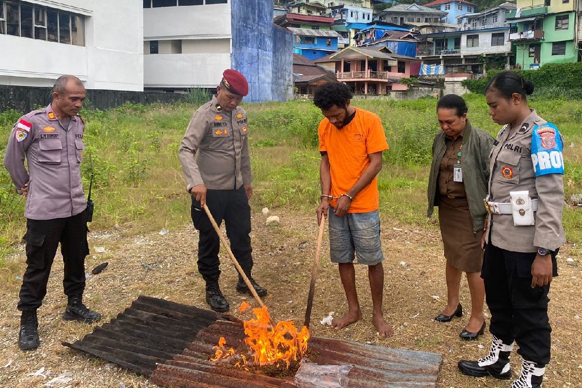 Polresta Jayapura Kota musnahkan sembilan kilogram ganja dari PNG