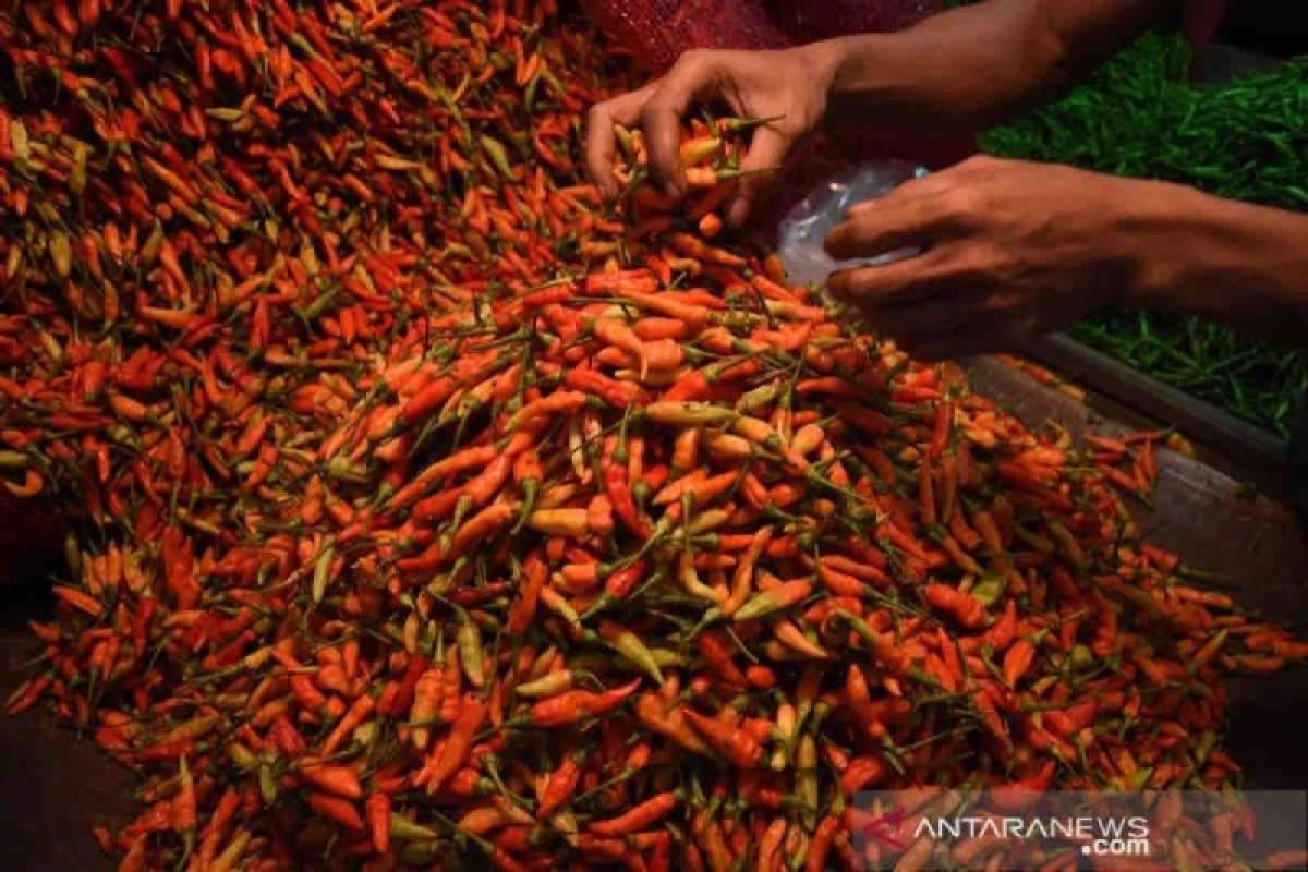 Harga pangan di Senin, cabai rawit naik Rp3.940 jadi 41.930 per kg