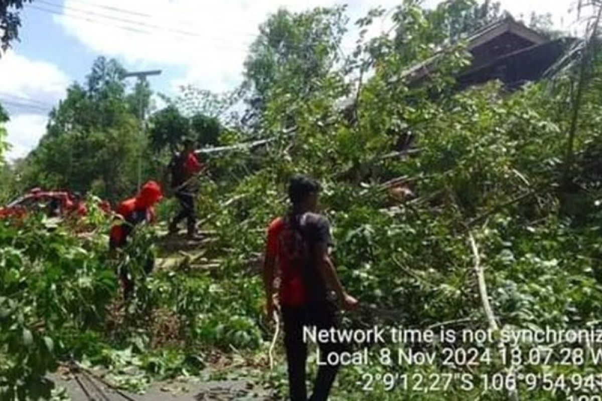 BPBD minta warga tidak berteduh di bawah pohon saat hujan