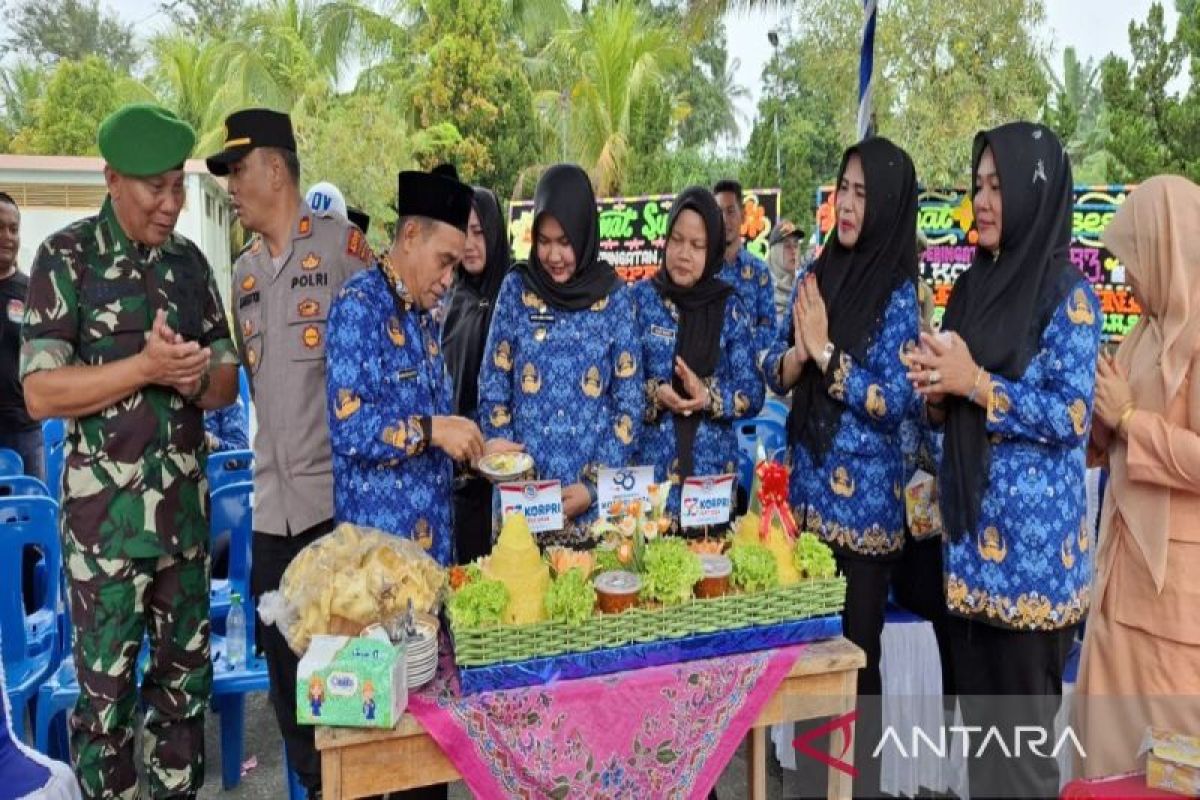 Pimpin upacara HUT Korpri, Wabup Madina sampaikan sejumlah pesan Presiden Prabowo