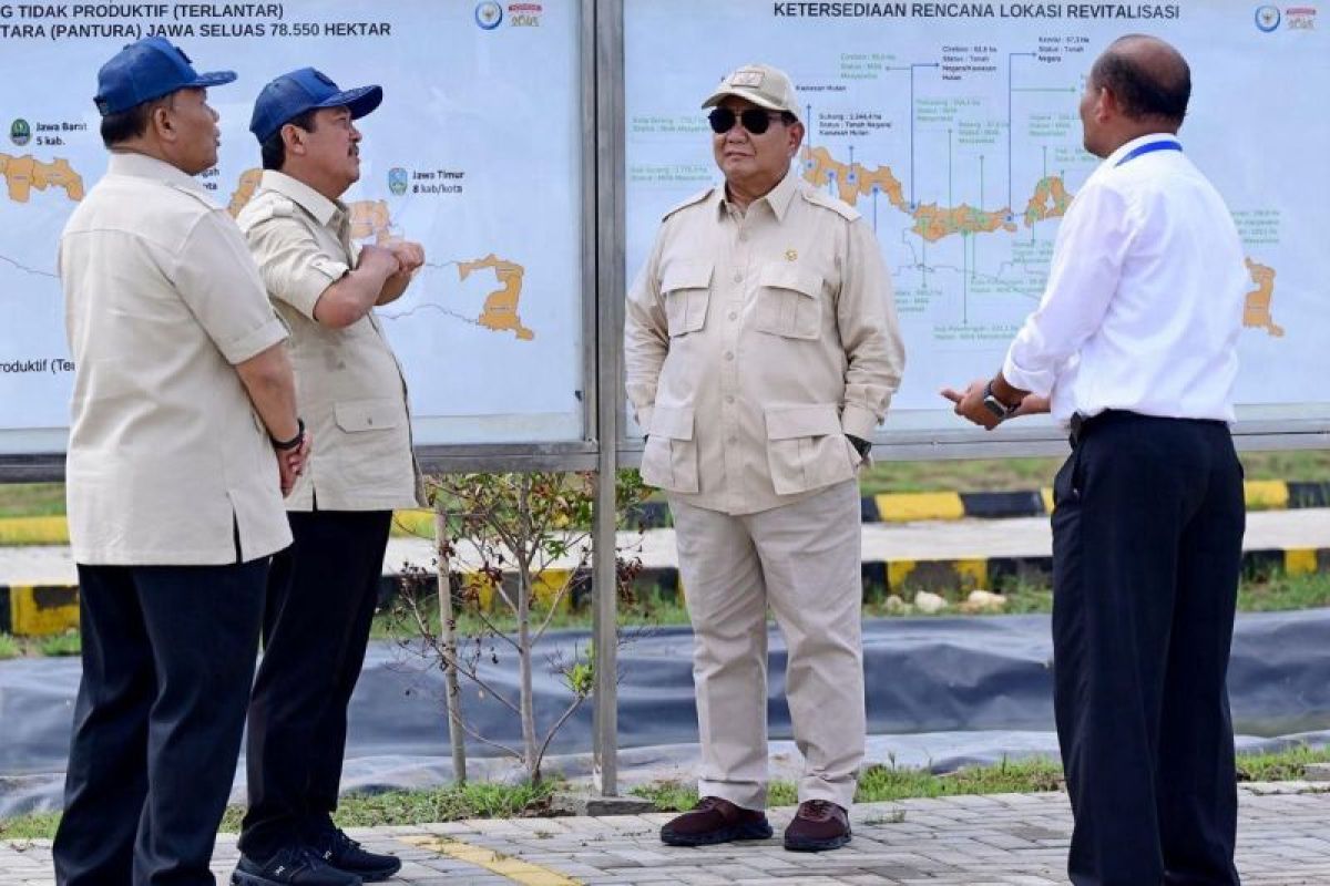 Presiden Prabowo lakukan penebaran benih ikan nila salin di Karawang