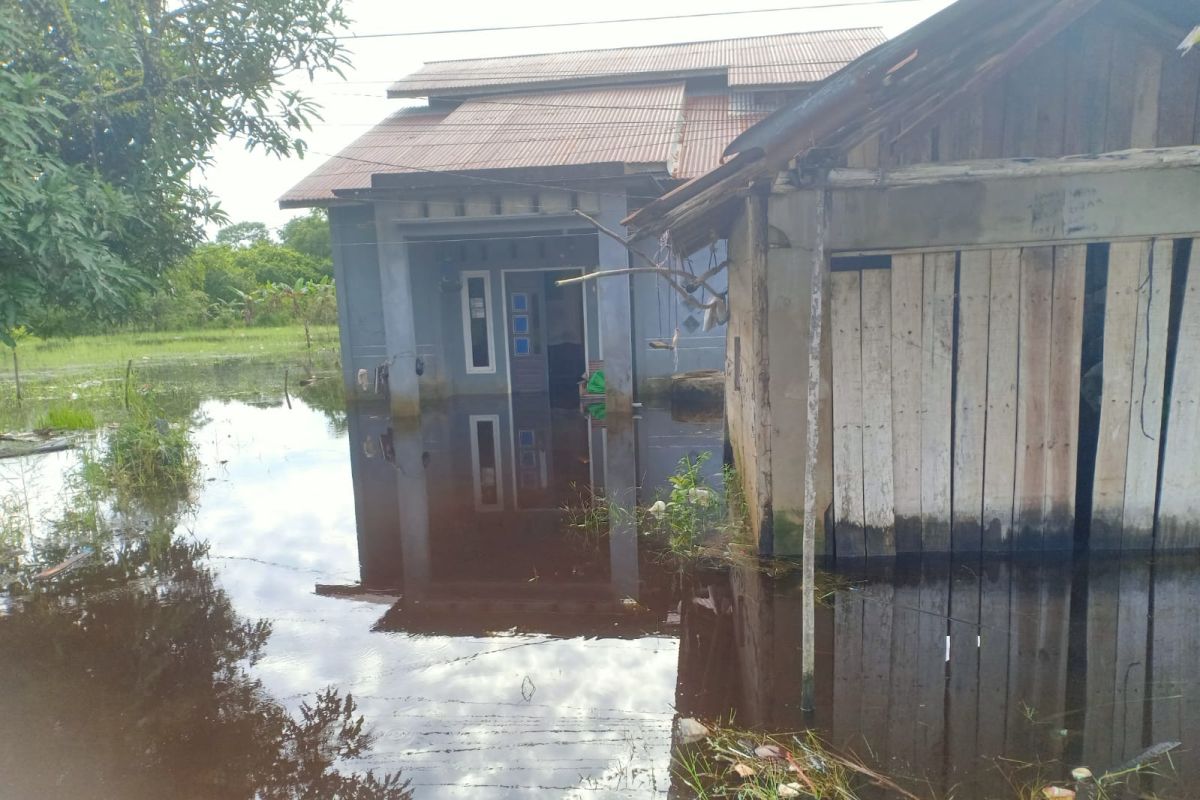 BPBD catat 10 rumah di Singkawang Utara terendam banjir