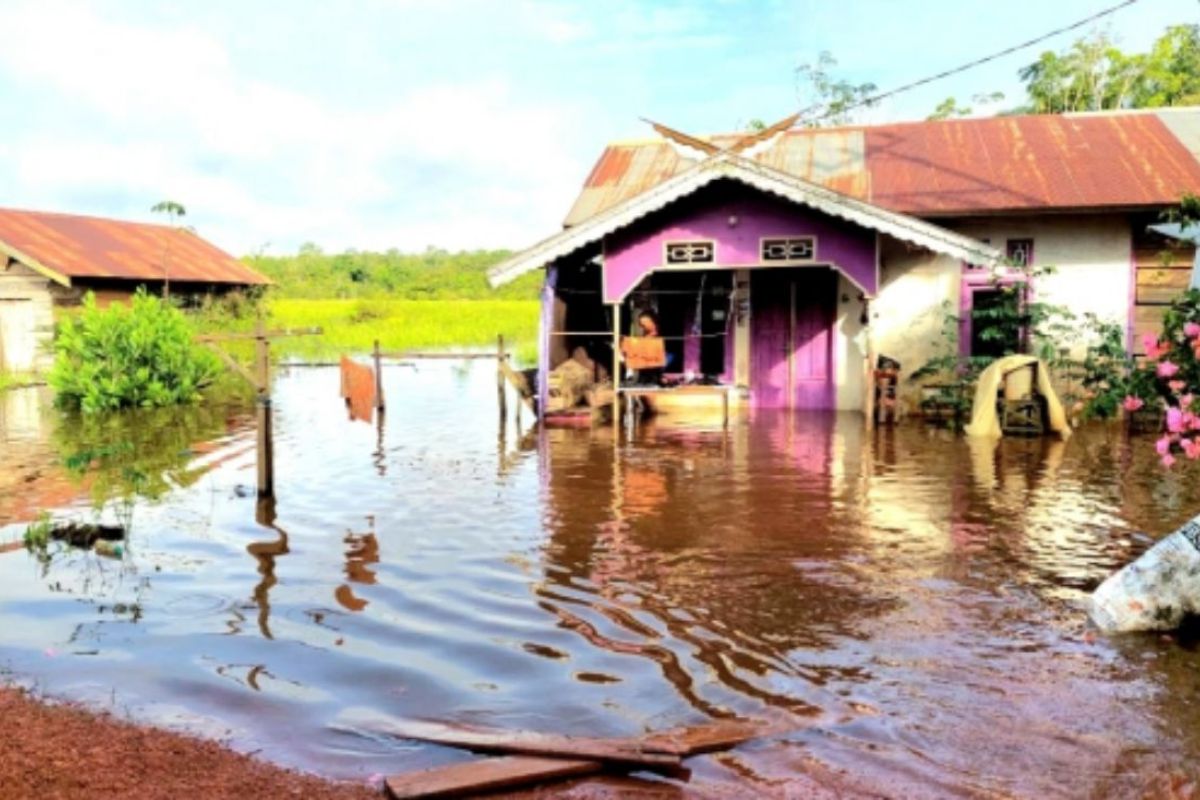 BPBD Kotim minta masyarakat tetap waspada meski banjir mulai surut