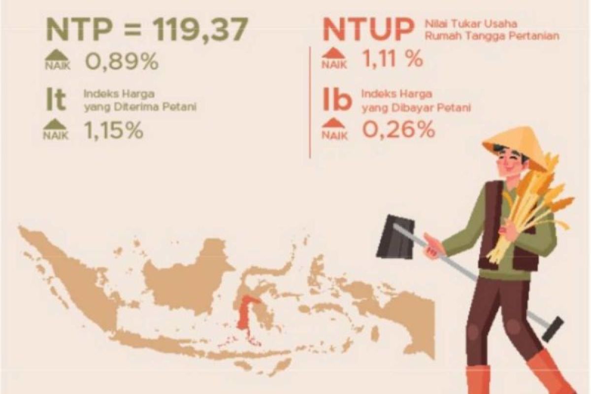 NTP Sulsel per November 2024 mengalami kenaikan 0,89 persen