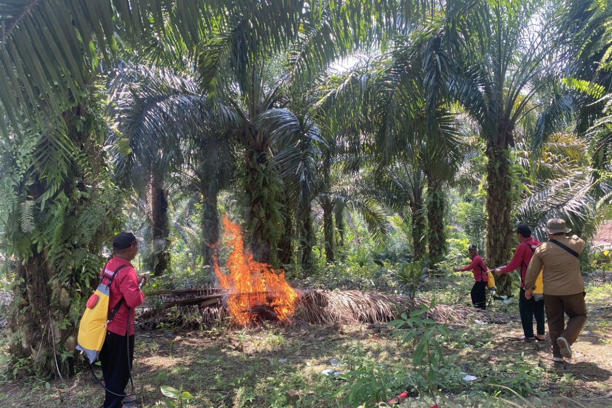 Kala api menyulut kesadaran untuk peduli hutan di Desa Batu Putih Jambi