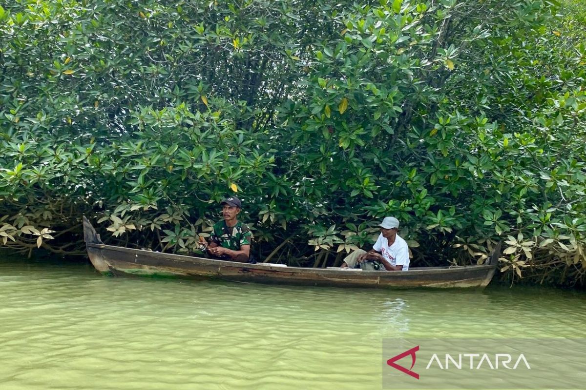 Masyarakat Pasar Rawa Langkat jadikan mangrove sebagai sumber kehidupan