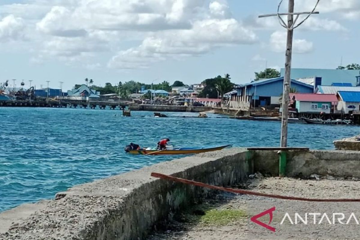 BPBD Biak minta warga menjaga lingkungan untuk antisipasi bencana