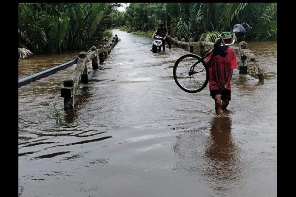 Pemda diminta gunakan dana darurat perbaiki jembatan rusak di Pulau Maya