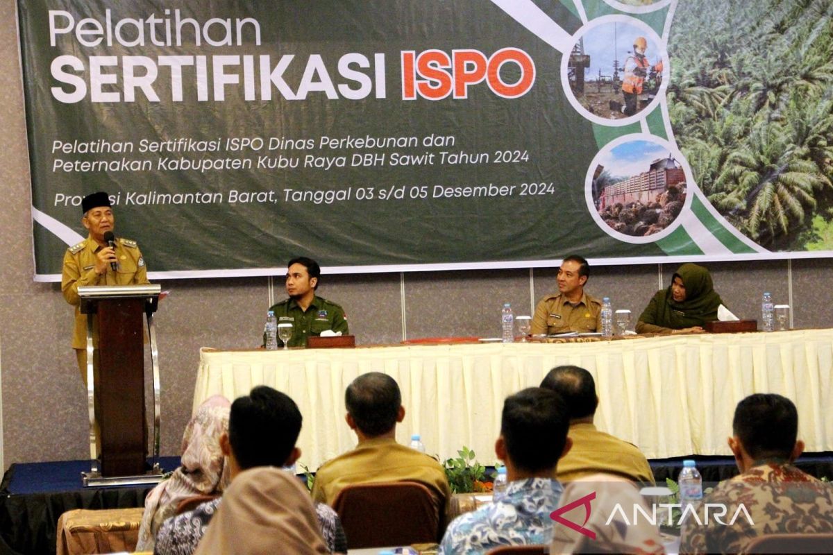 Kubu Raya optimalkan DBH Sawit untuk peningkatan infrastruktur-SDM