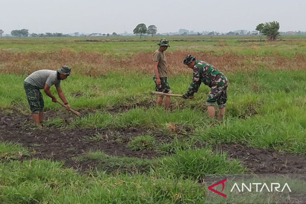 Korem 051/Wijayakarta siapkan lahan 50 ha untuk budidaya jagung di Bekasi