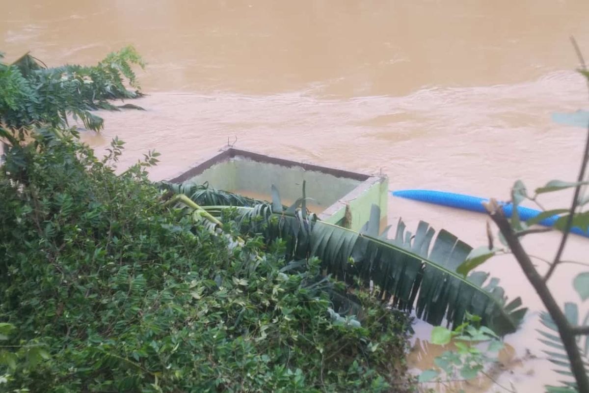 Distan Lebak data areal tanaman padi terdampak banjir