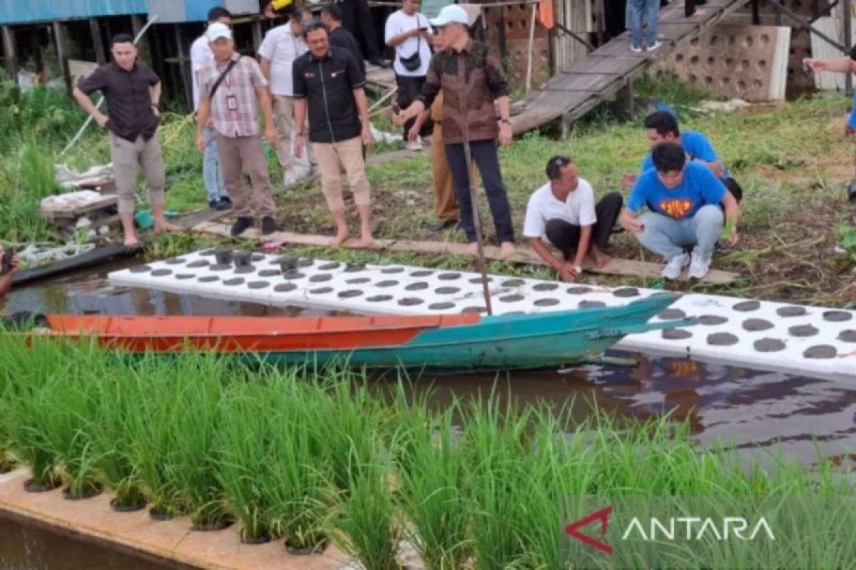 Kalsel kemarin dari program padi apung hingga parekraf unggulan