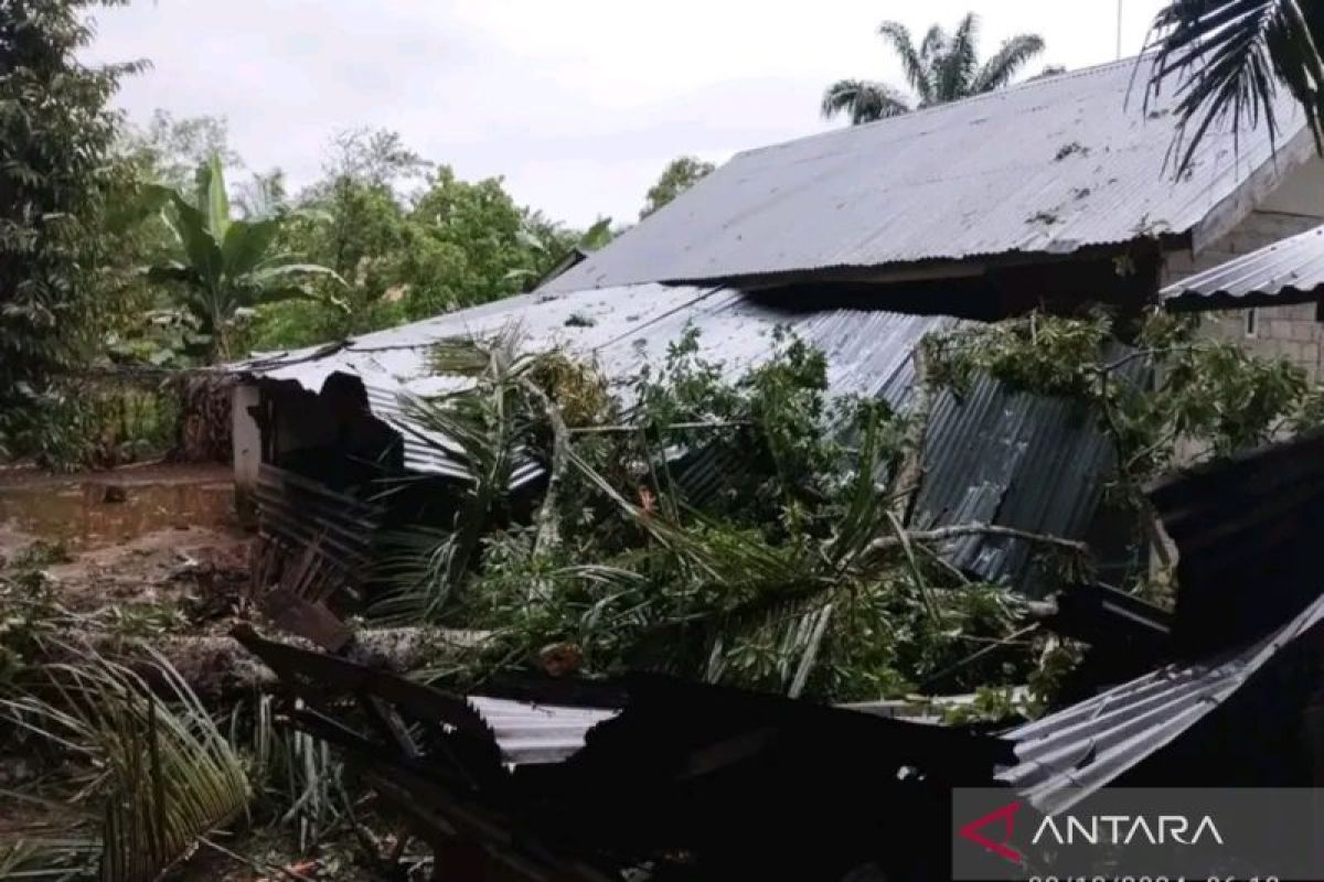 Satu rumah warga Mukomuko rusak tertimpa pohon