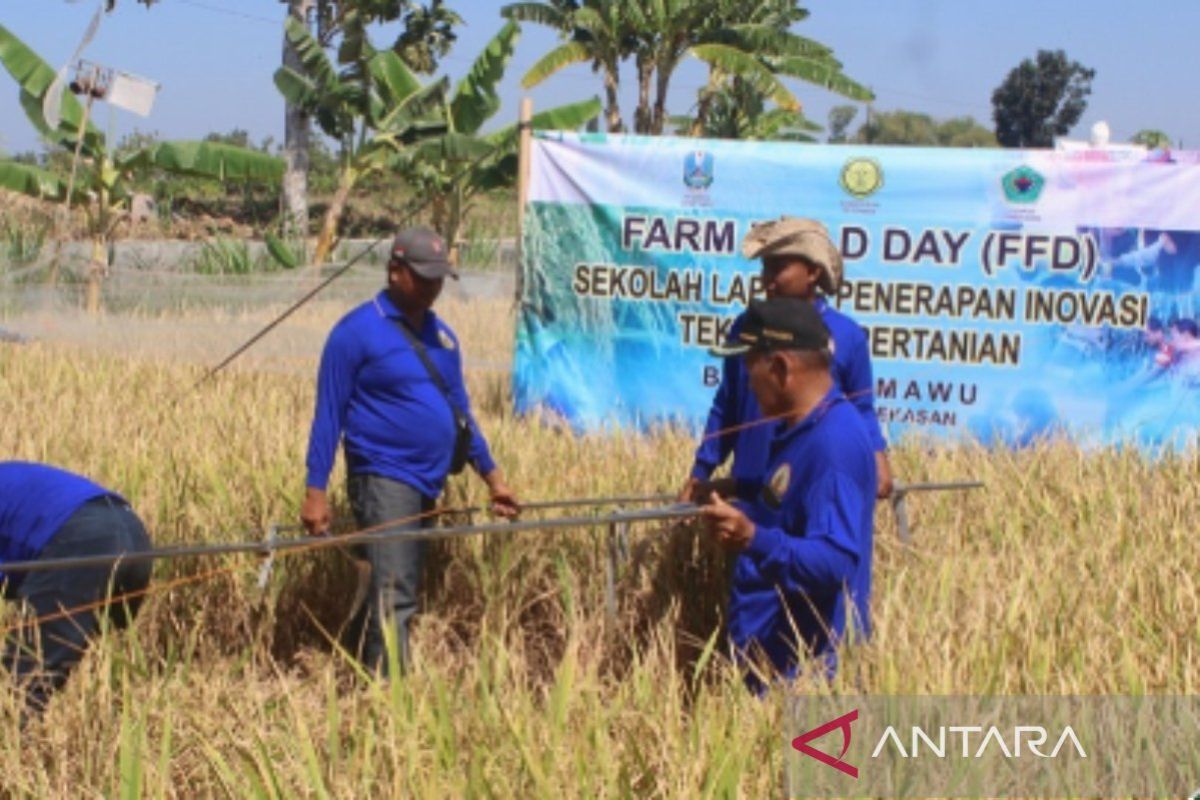 Pemkab Pamekasan usulkan 131.371 petani terima pupuk bersubsidi