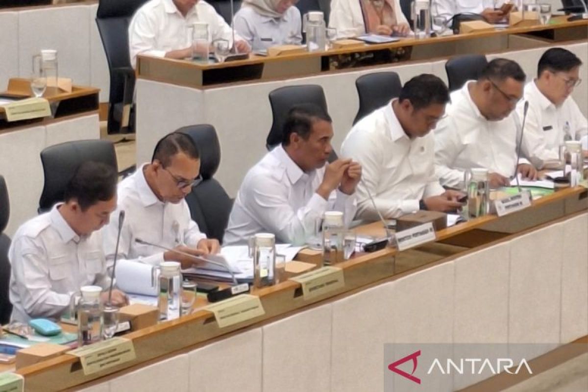 Mentan usulkan reprioritasi anggaran 2025 dukung swasembada pangan