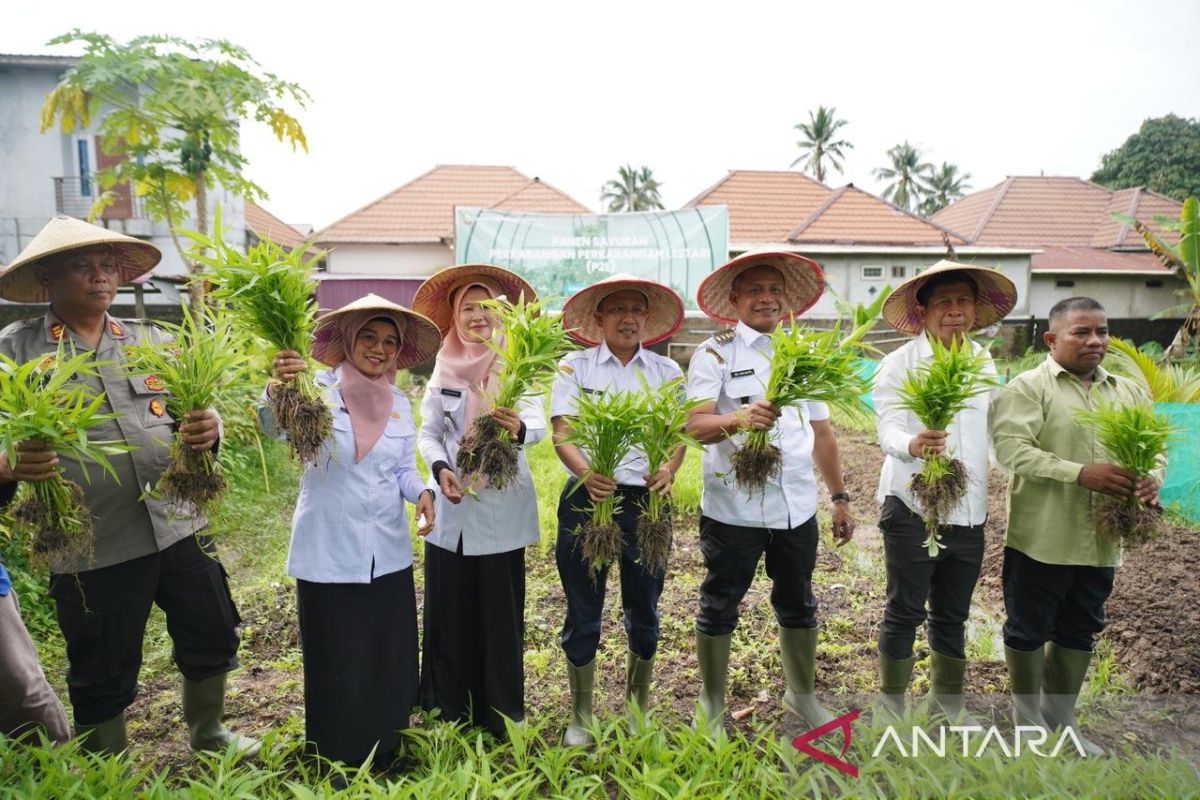 Pemerintah Kota Pontianak gencarkan gerakan menanam di pekarangan bagi ASN