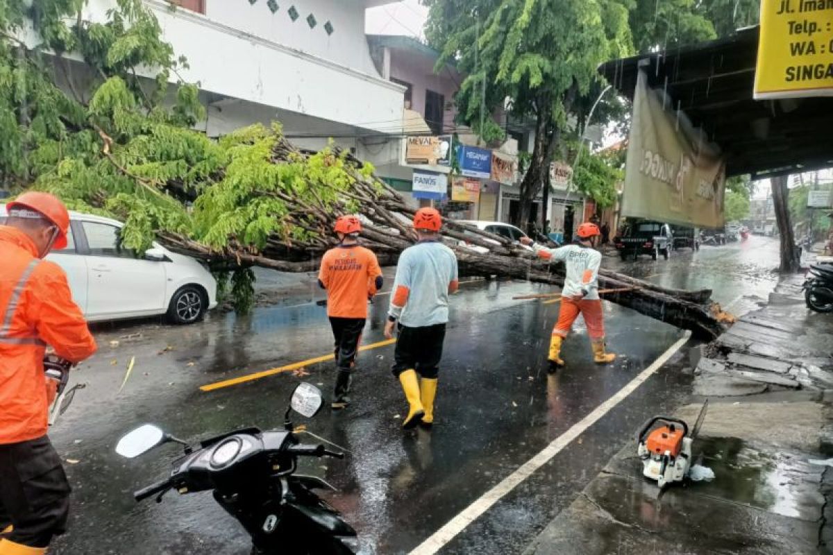 BPBD Buleleng hadirkan layanan informasi atasi bencana