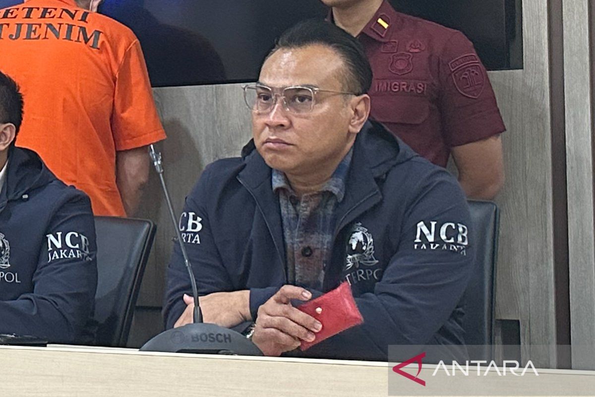 Interpol Indonesia sebut lima pintu imigrasi rutin dipakai WNA buronan