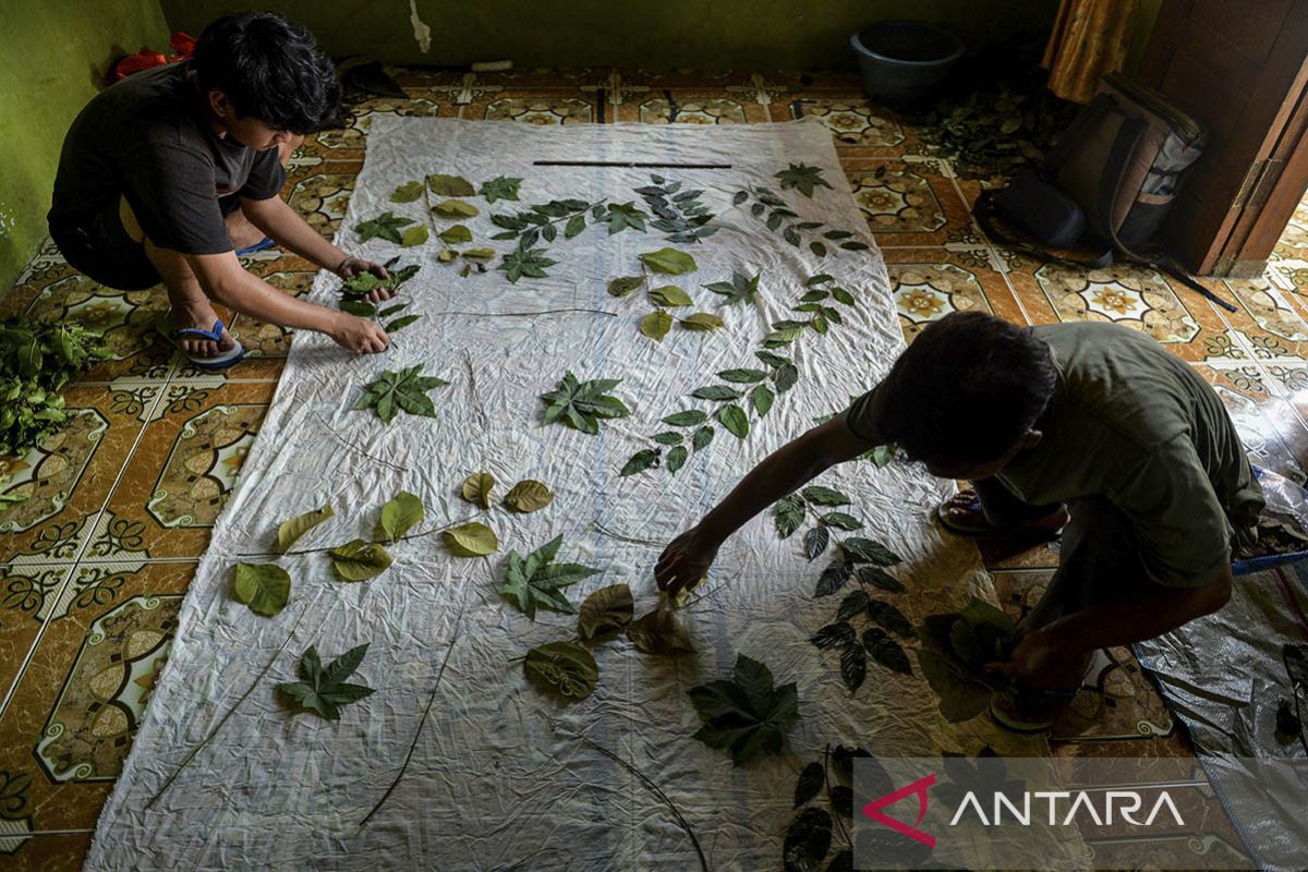 Produksi kain ecoprint di Kabupaten Serang