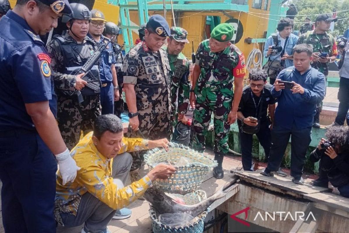 KKP selamatkan kerugian negara Rp3,5 triliun dari "ilegal fishing"